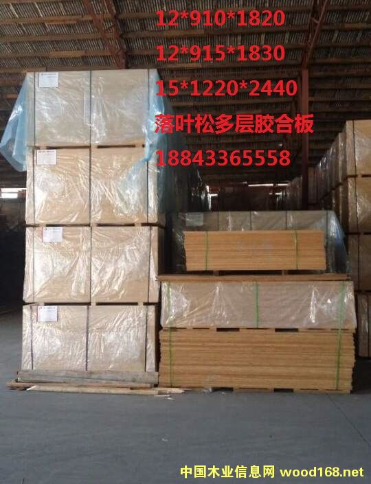 ������Ԕ����B