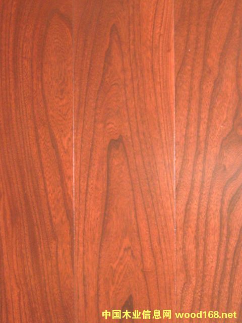 ��ܗ��~�tHLNP201201��Ԕ����B