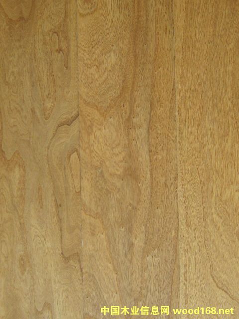 �����ľɫHLNP201202��Ԕ����B