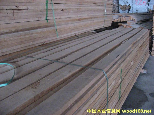 ���y�Fɼ��Ԕ����B