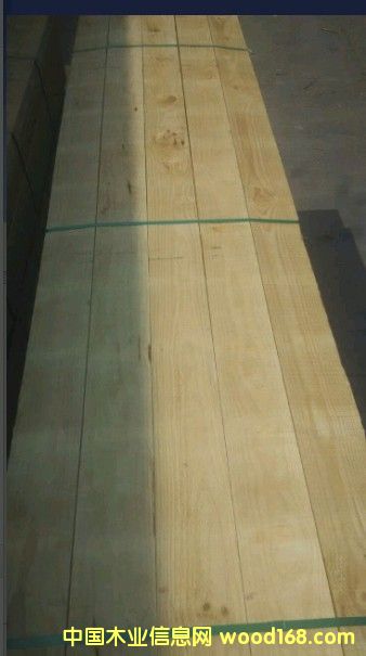 ݗ���ɟo�Y��