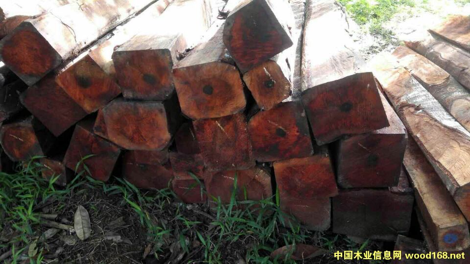 �����e�һ�оľ��