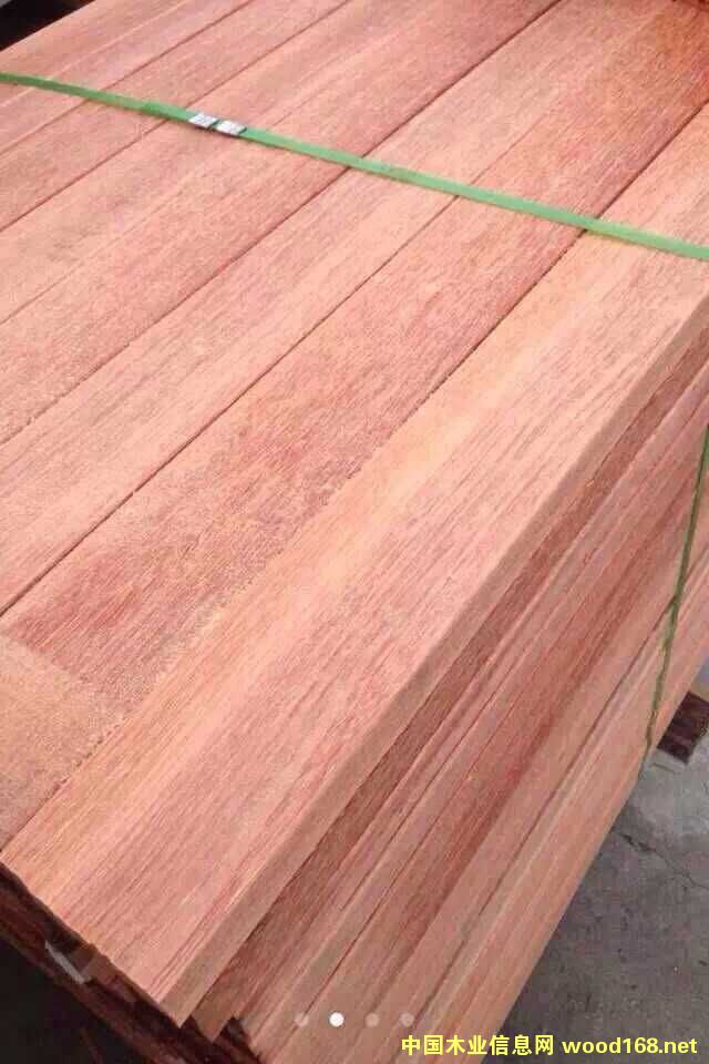 [��] �t����2017��r�����ڼt����ľ�����У�