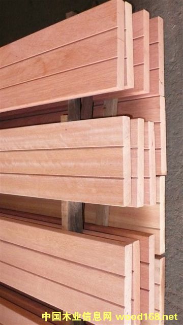 ɽ��ľ��Ԕ����B