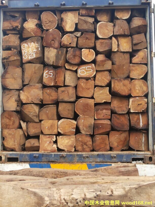 �׃ȁ�-�ȽB�����̴�M�ڈ��P����