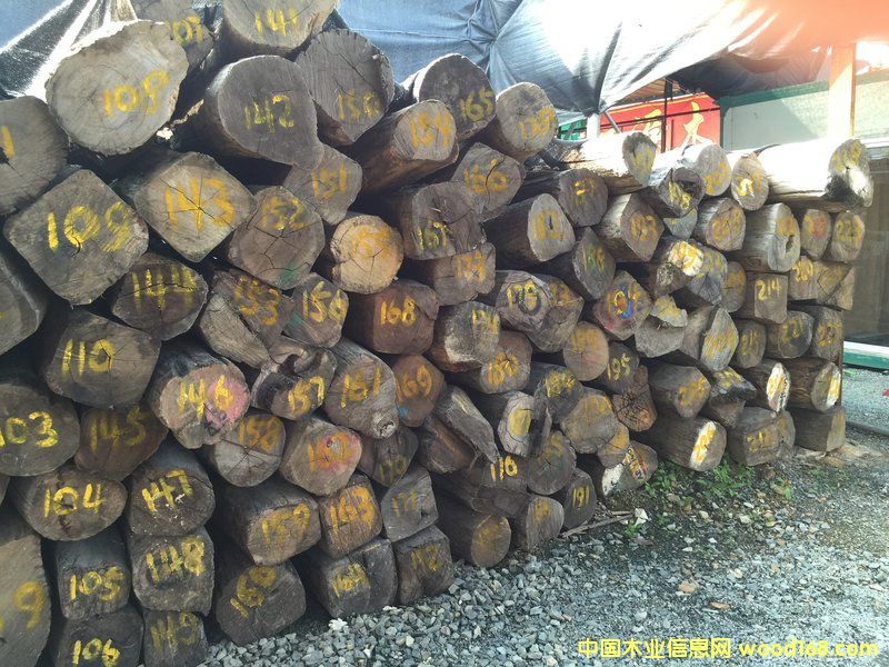 ���黨��ԭľ��30 cm X 3 m)��Ԕ����B