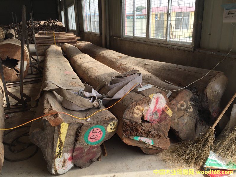 ���黨��ԭľ (80 cm X 8 m)��Ԕ����B