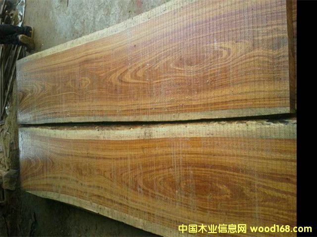 ��֬����ԭľ��Ԕ����B