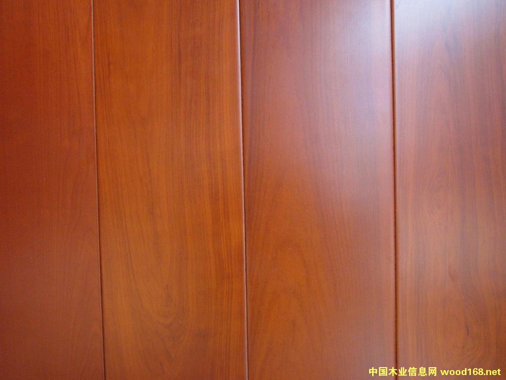 ̼�w�S��ľ�ذ�S�ҵ�Ԕ����B