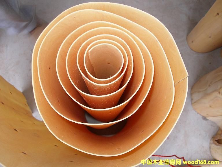 ��ľ�ΰ��Ԕ����B