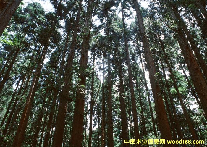 �c���鿴ɼľ�ַŴ�DƬ