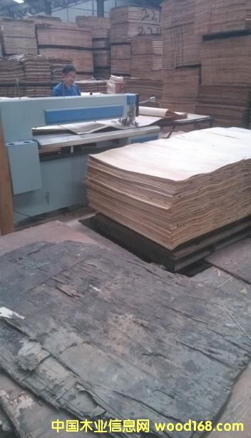 �c���鿴�ΰ��Bо�C�Ŵ�DƬ