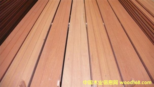 ɽ��ľ2��Ԕ����B