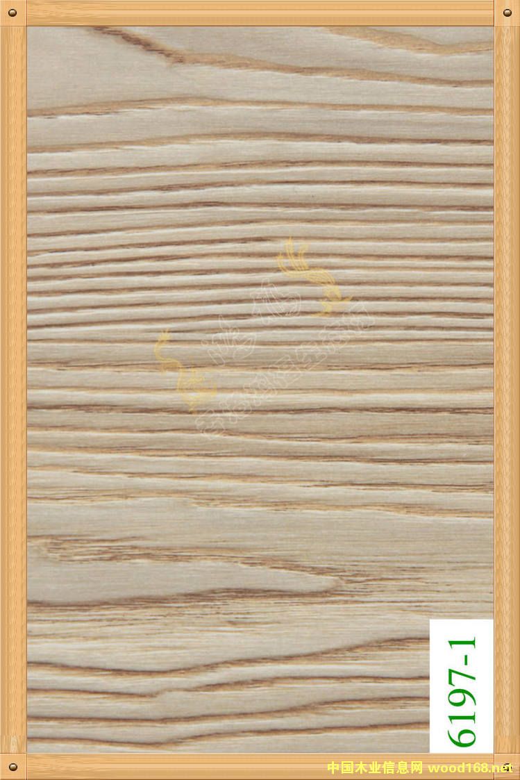 ����������B�� 6197-1