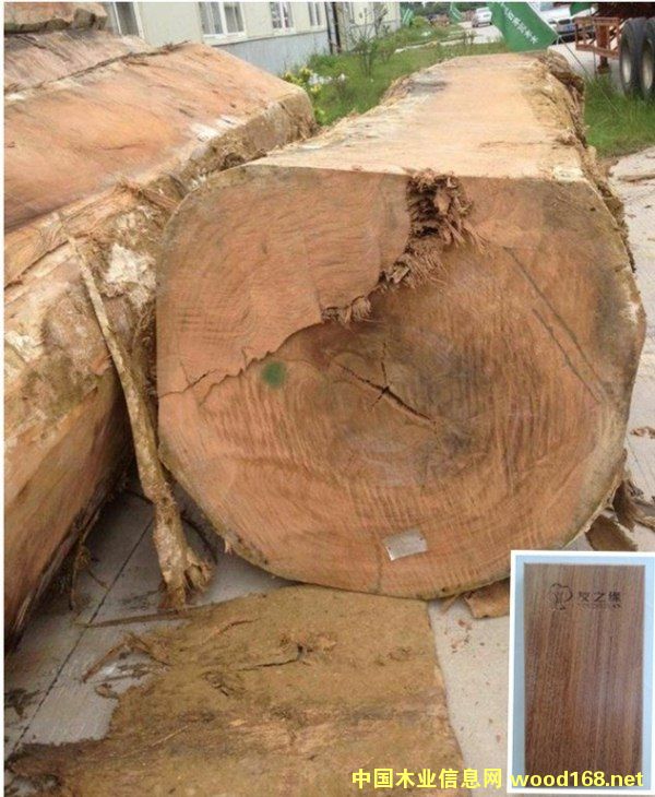 �׃����Ԕ����B