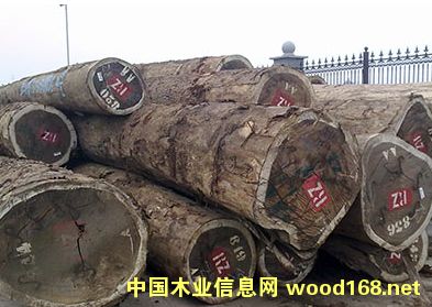 ���lƤ��ԭľ