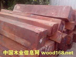 �����܇����ԭľ