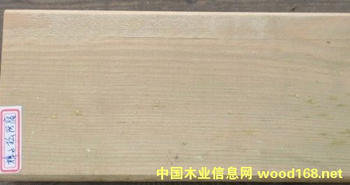 �c���鿴�����ɷŴ�DƬ