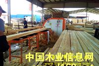 �Fɼ��������ľ����Ԕ����B