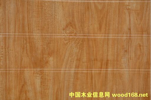 ���������X��Ϳ����Ԕ����B