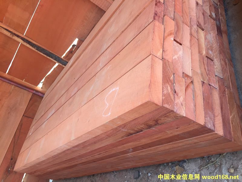 ZAMWINA �ͻ����