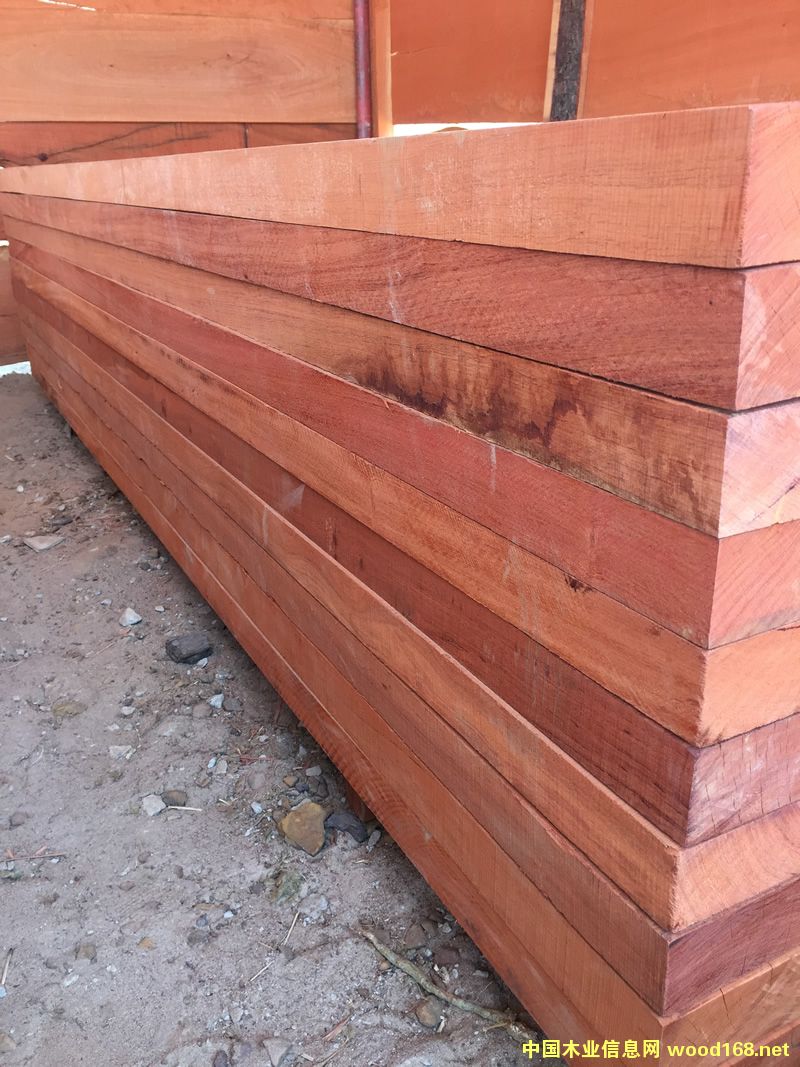 ZAMWINA �ͻ����