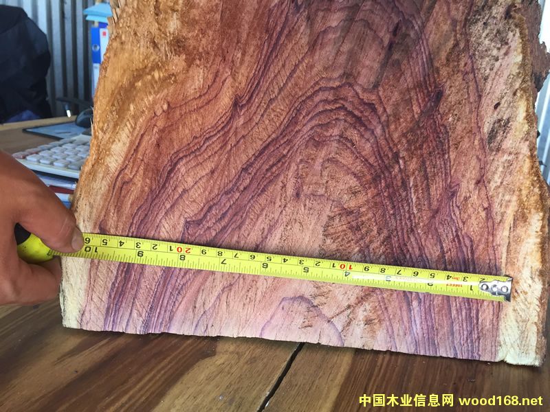 ZAMWINA ���Rľ