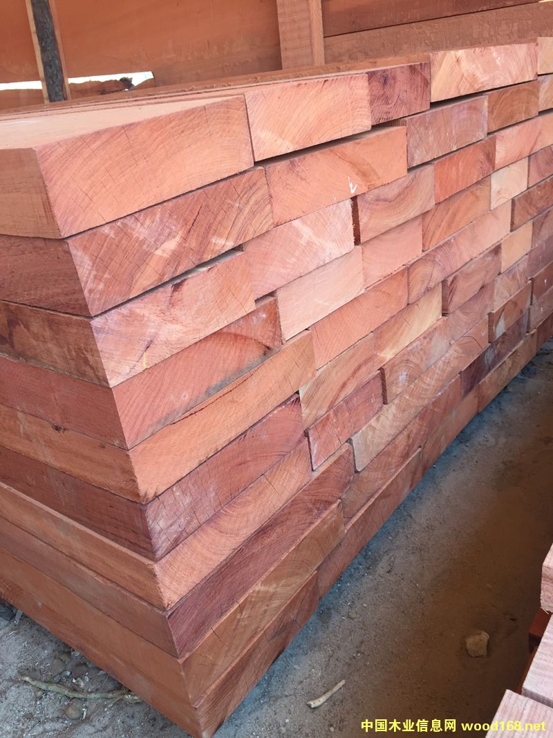 ZAMWINA �ͻ����