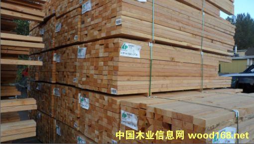 �Fɼ��Ԕ����B