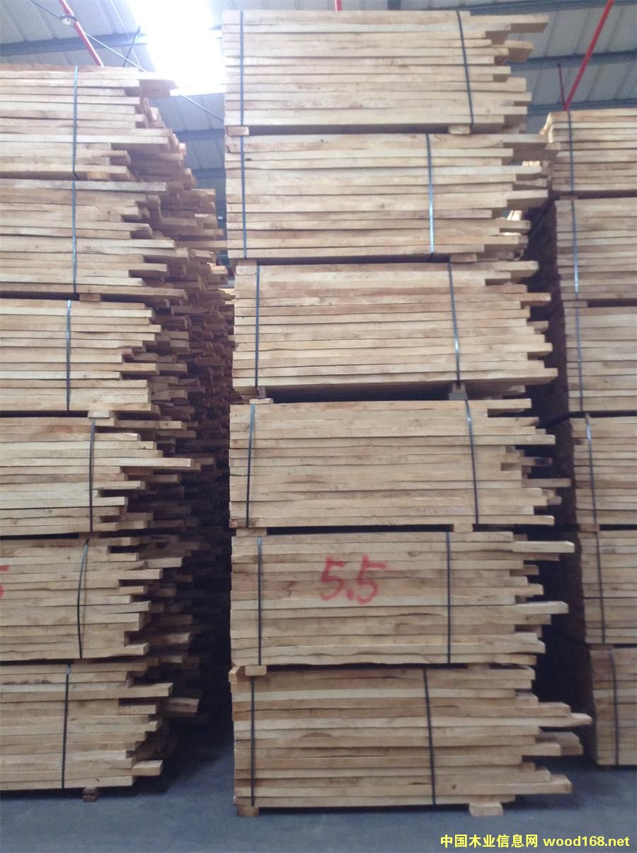 55MM�������zľ��Ԕ����B