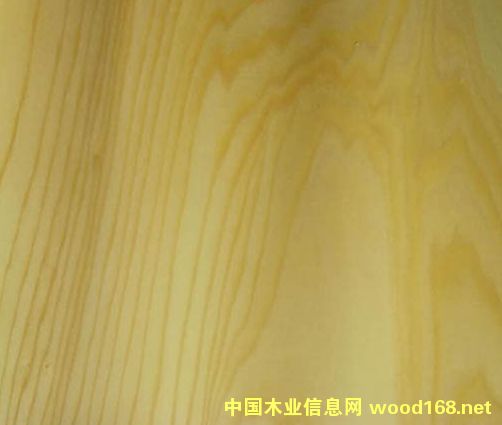 �ľ�����ϵ�Ԕ����B