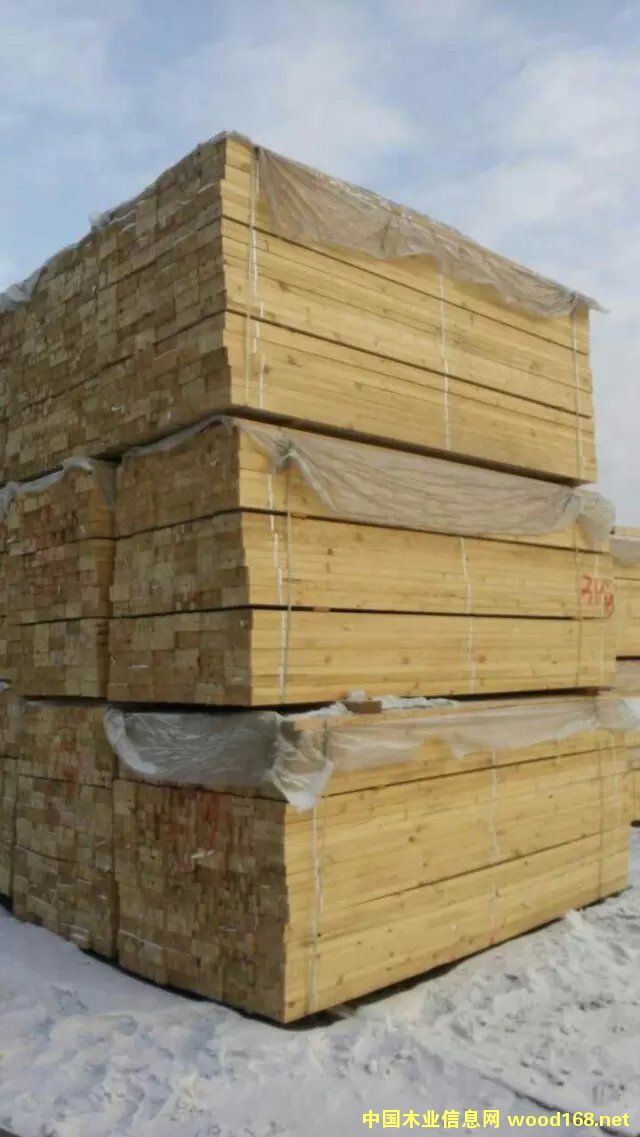 ����������������~�ɴ�