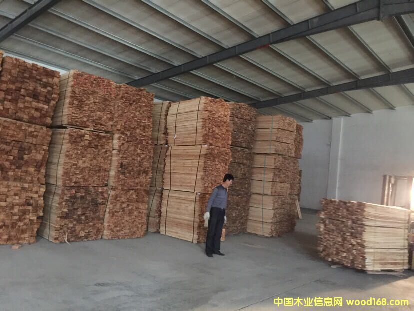 ���zľ�N��