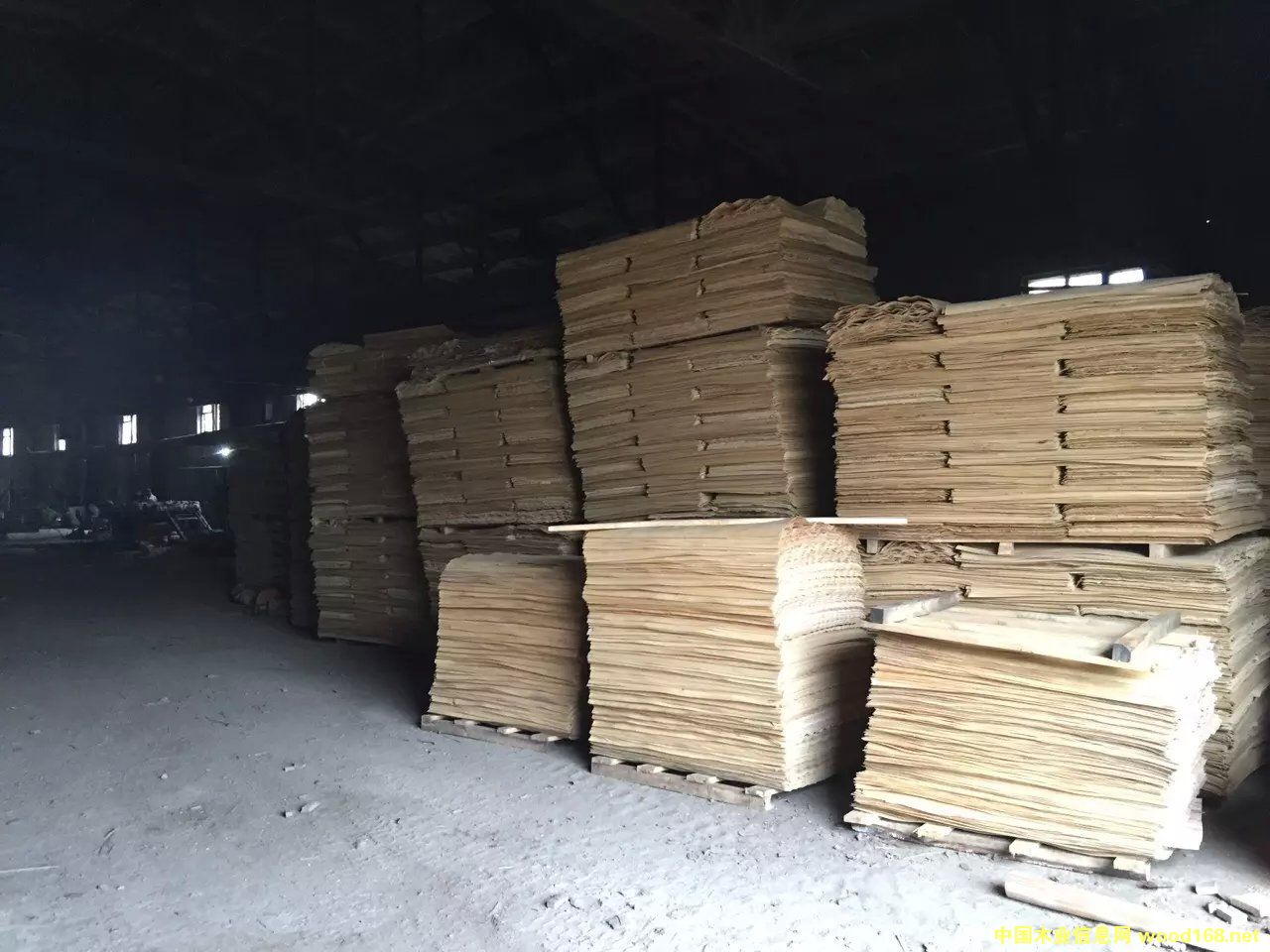 ��ľ�ΰ��Ԕ��(x��)��B