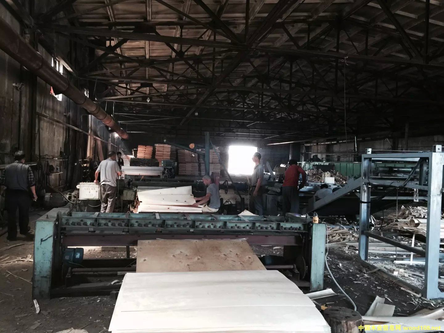 ��ľ�ΰ��Ԕ��(x��)��B