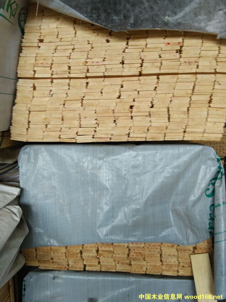 [��] ��ľ��¹�󱳰塢��ϰ��