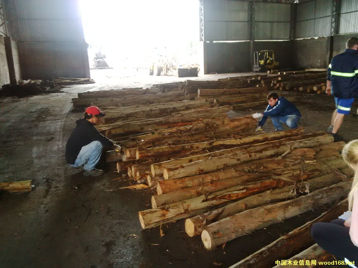 ������ľԭľ��Ԕ����B