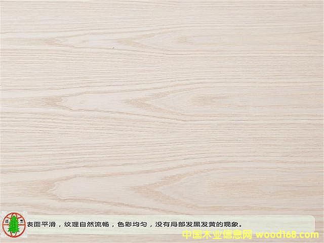 ��Ȼ�t���N���B