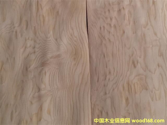 ��ľ�z�ϰ�D