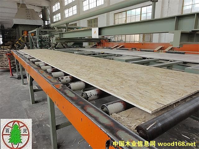 OSB�����ٻ��幤�S�O(sh��)��