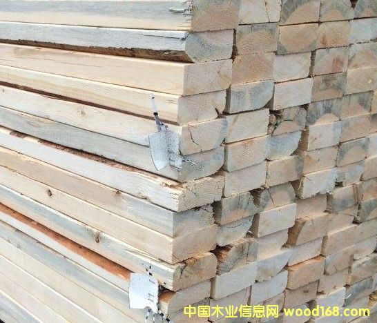 ����SPF��Ԕ����B