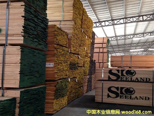 �����t��ľ��� �M�ڌ�ľ��