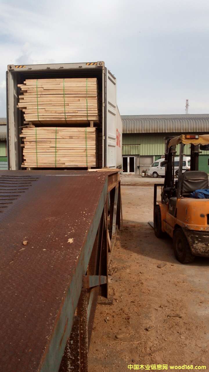 ���zľľ��