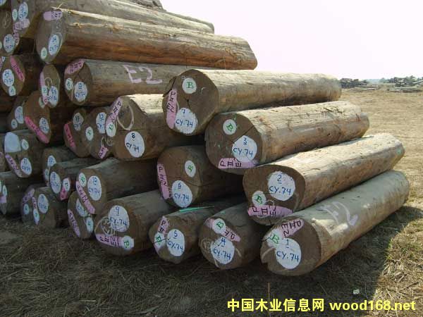 ������ľԭľ��Ԕ����B