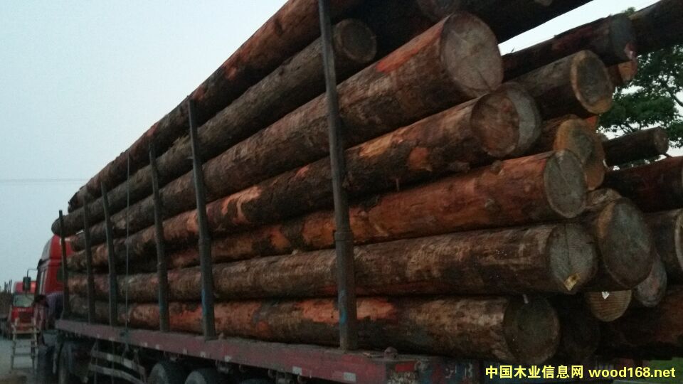 ľ���b܇��Ƭ