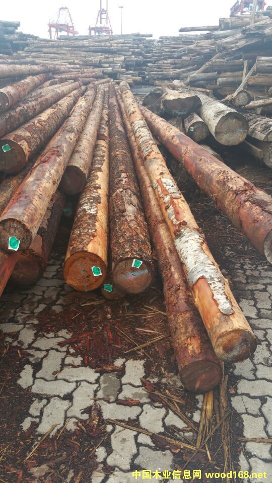 ���ô�����