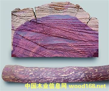 �������_�m��֦ �l�y׃�ßo(w��)�����y��������