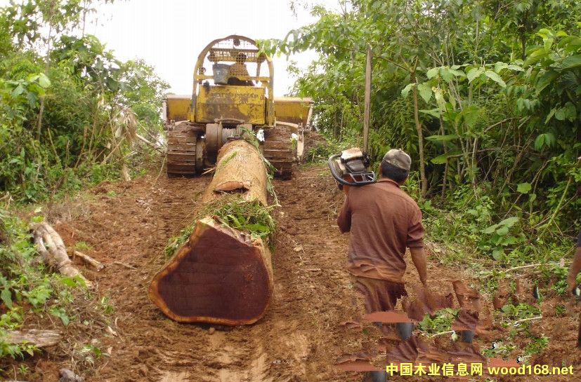 Խ��ľ�Įa�I�D���������M�������m����Щ��