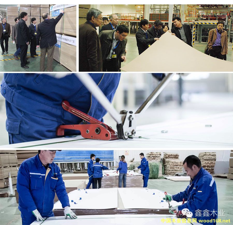 �ӱ�����ľ�I����ʿʷ������Steinemannɰ��C