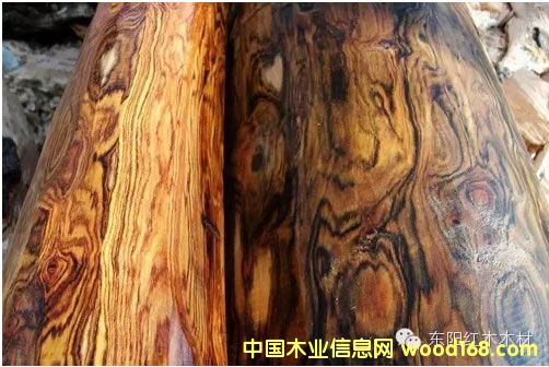 �V���S���������棬��ˮ��ɫ�ɼy���c�S�����^�ӽ�